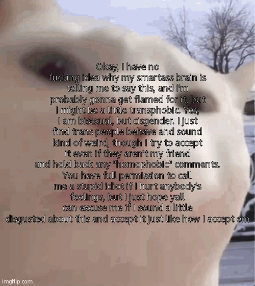 I feel so stupid | Okay, I have no fucking idea why my smartass brain is telling me to say this, and I'm probably gonna get flamed for it, but I might be a little transphobic. Yes, I am bisexual, but cisgender. I just find trans people behave and sound kind of weird, though I try to accept it even if they aren't my friend and hold back any "homophobic" comments. You have full permission to call me a stupid idiot if I hurt anybody's feelings, but I just hope yall can excuse me if I sound a little disgusted about this and accept it just like how I accept em | image tagged in i showed you my,ralsei of topic | made w/ Imgflip meme maker