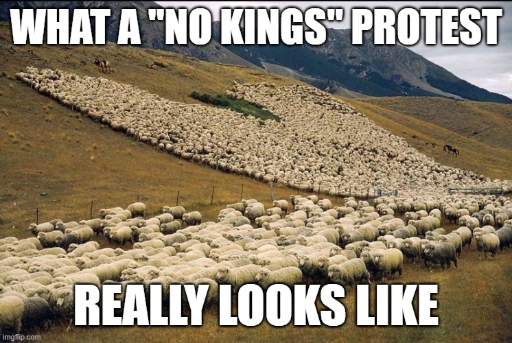 Flock of Sheep | WHAT A "NO KINGS" PROTEST; REALLY LOOKS LIKE | image tagged in flock of sheep | made w/ Imgflip meme maker
