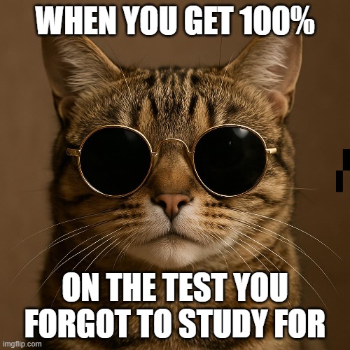 When you get 100% on the test you forgot to study for | WHEN YOU GET 100%; ON THE TEST YOU FORGOT TO STUDY FOR | image tagged in fun | made w/ Imgflip meme maker