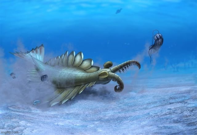 Anomalocaris, Earth’s first super-predator, they were alive 500 million years ago in the Cambrian Explosion. | made w/ Imgflip meme maker