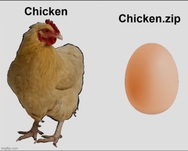 Chicken or the Egg | image tagged in egg,chicken,bird | made w/ Imgflip meme maker