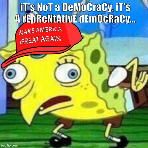 triggerpaul | iT's NoT a DeMoCraCy, iT's A rEpReNtAtIvE dEmOcRaCy... | image tagged in triggerpaul | made w/ Imgflip meme maker