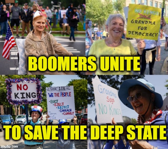 More Leftist Logic | BOOMERS UNITE; TO SAVE THE DEEP STATE | image tagged in democrats | made w/ Imgflip meme maker
