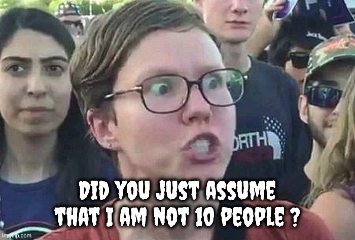 Triggered Liberal | Did you just assume that I am not 10 people ? | image tagged in triggered liberal | made w/ Imgflip meme maker