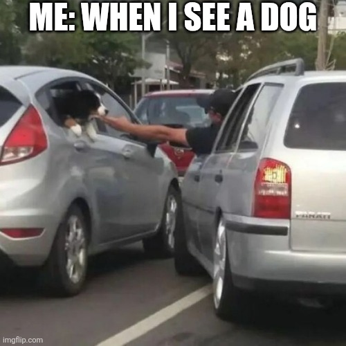 Me When I See A Dog | ME: WHEN I SEE A DOG | image tagged in chrisjoines1 | made w/ Imgflip meme maker
