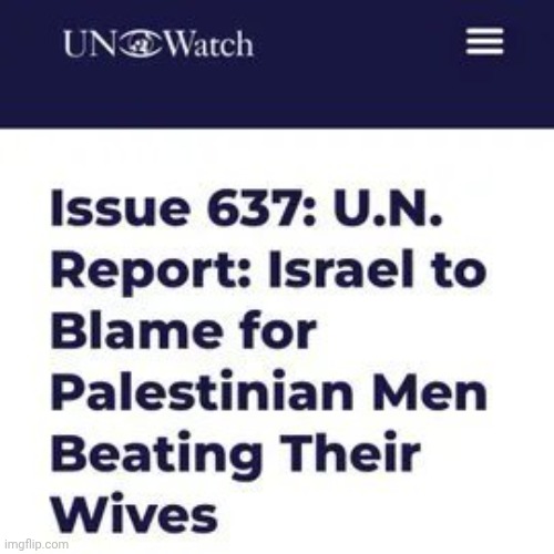 Time to Defund the United Nations | image tagged in united nations,too damn high,waste of money,blame israel,solutions,well yes but actually no | made w/ Imgflip meme maker
