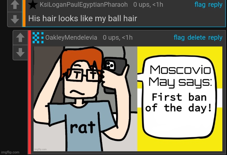 The most VILE comment towards one of my OCs | image tagged in mc,moscovio may,cursed,comments | made w/ Imgflip meme maker