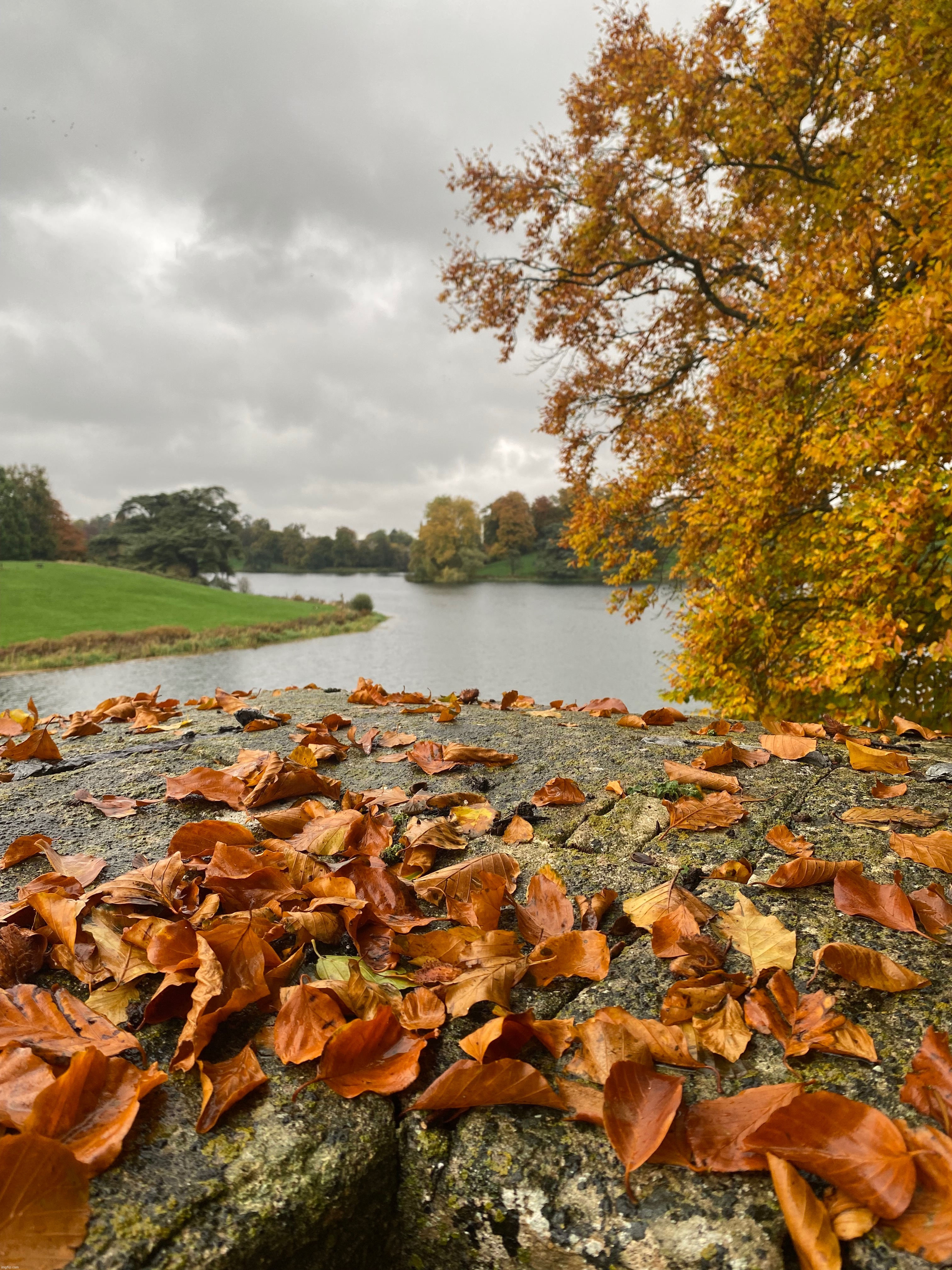Autumn in England | image tagged in picture,fall,england,so pretty | made w/ Imgflip meme maker