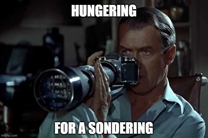 Rear Window Sondering | HUNGERING; FOR A SONDERING | image tagged in alfred hitchcock,rear window,sondering,stalking,spying | made w/ Imgflip meme maker