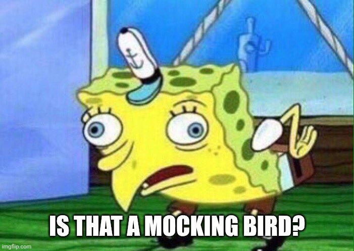 spongebob mockingbird | IS THAT A MOCKING BIRD? | image tagged in spongebob mockingbird | made w/ Imgflip meme maker