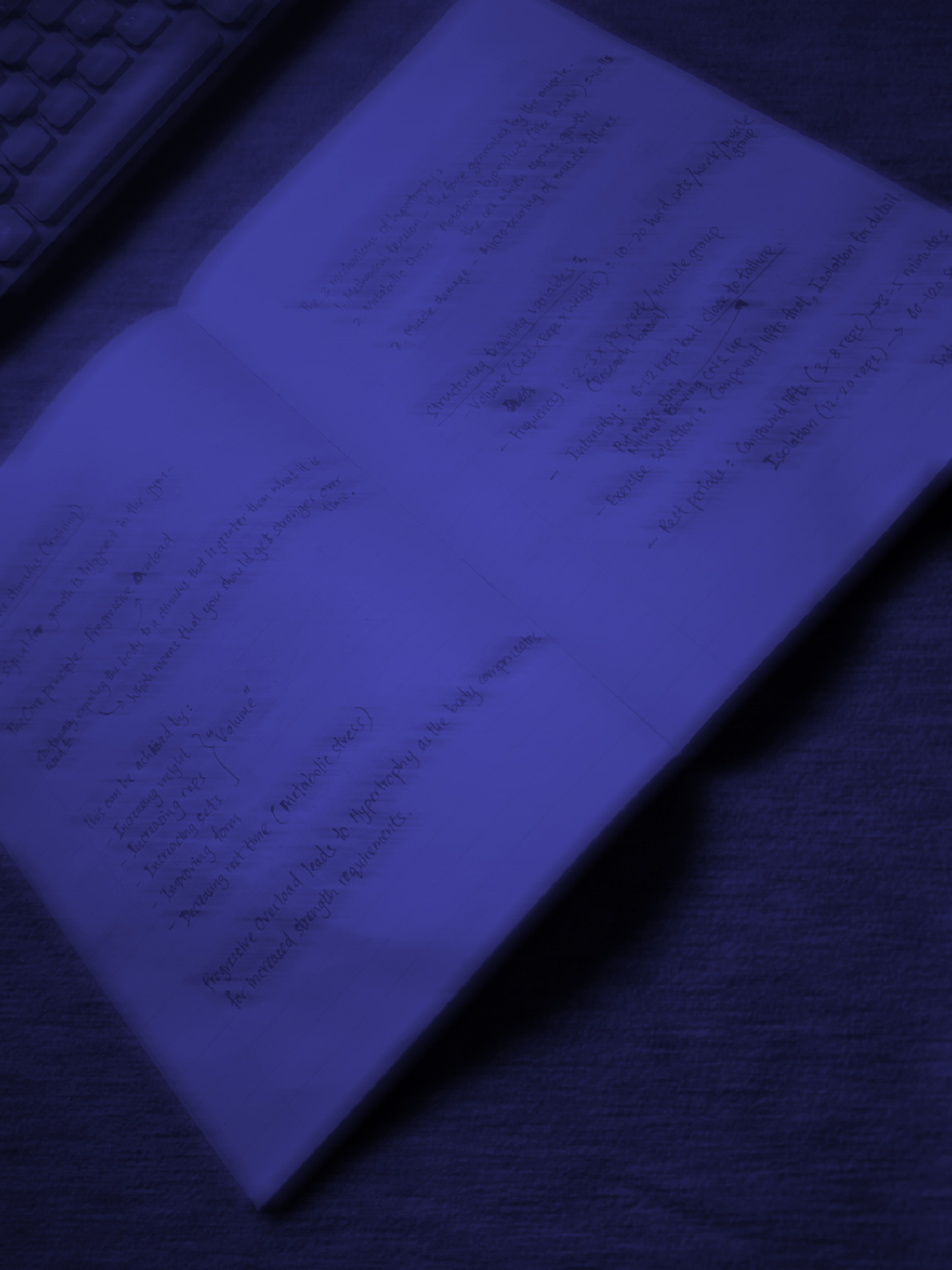 Taking notes on lifting Blank Meme Template