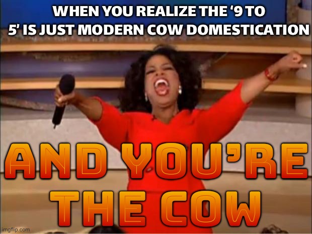 WHEN YOU REALIZE THE ‘9 TO 5’ IS JUST MODERN COW DOMESTICATION | WHEN YOU REALIZE THE ‘9 TO 5’ IS JUST MODERN COW DOMESTICATION; AND YOU’RE THE COW | image tagged in memes,oprah you get a,cow,evil cows,slavery,economy | made w/ Imgflip meme maker