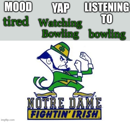 Notre_Dame_fan102's Second Announcement Temp | Watching Bowling; tired; bowling | image tagged in notre_dame_fan102's second announcement temp | made w/ Imgflip meme maker