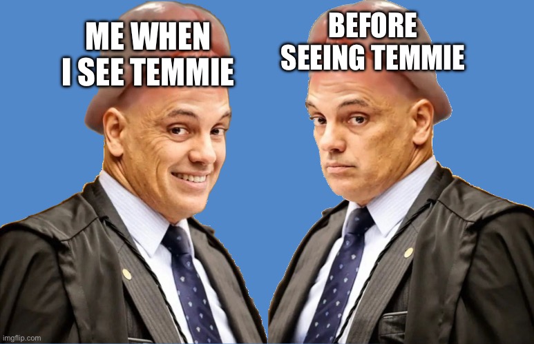 Alexandre o Glande Happy Sad Meme | ME WHEN I SEE TEMMIE BEFORE SEEING TEMMIE | image tagged in alexandre o glande happy sad meme | made w/ Imgflip meme maker