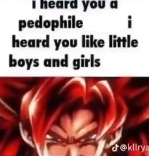 i heard you a pedophile (no n word) Blank Meme Template