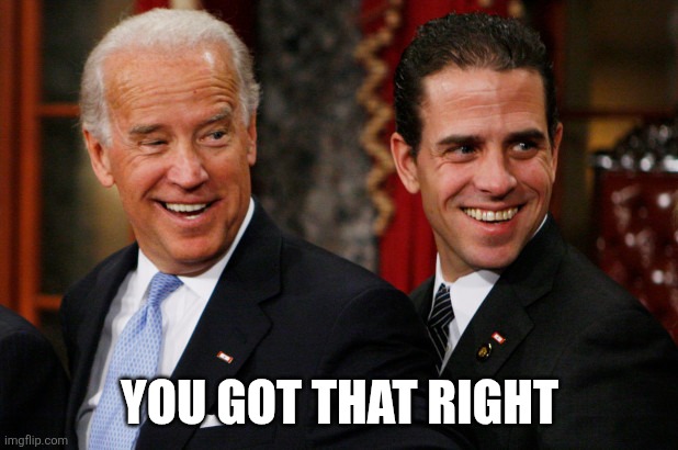 Hunter Biden Crack Head | YOU GOT THAT RIGHT | image tagged in hunter biden crack head | made w/ Imgflip meme maker
