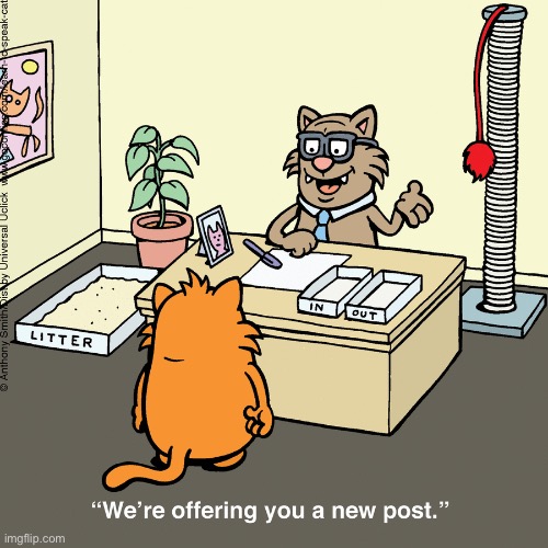 Learn to Speak Cat… | image tagged in cats,comics,learn to speak cat,new post,office,scratching post | made w/ Imgflip meme maker