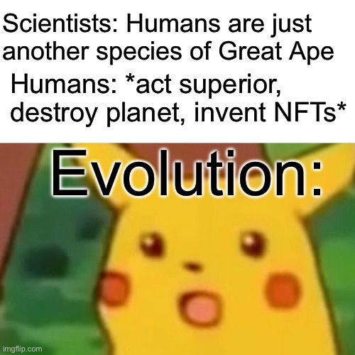 Humans: *act superior, destroy planet, invent NFTs* | Scientists: Humans are just another species of Great Ape; Humans: *act superior, destroy planet, invent NFTs*; Evolution: | image tagged in memes,surprised pikachu,humans,evolution,planet of the apes,atheism | made w/ Imgflip meme maker