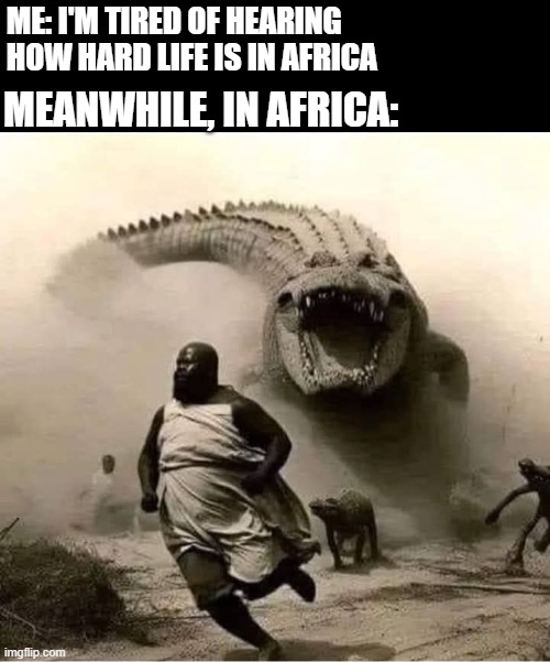 Meanwhile, In Africa | ME: I'M TIRED OF HEARING HOW HARD LIFE IS IN AFRICA; MEANWHILE, IN AFRICA: | image tagged in dark humor | made w/ Imgflip meme maker