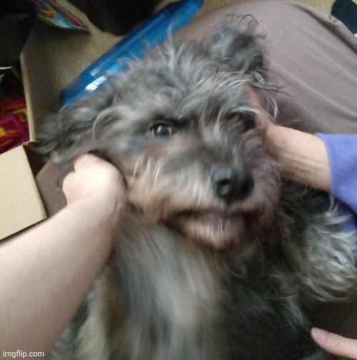 his name is Oppenheimer | made w/ Imgflip meme maker