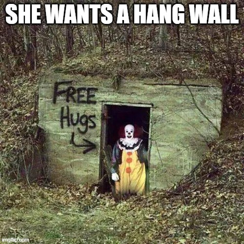 Hugging Pennywise | SHE WANTS A HANG WALL | image tagged in hugging pennywise | made w/ Imgflip meme maker