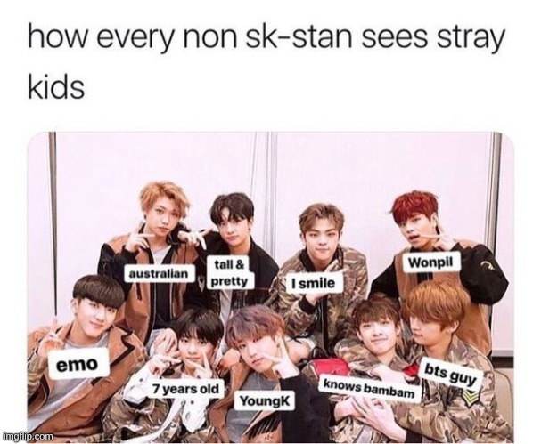 Isn't this true tho? | image tagged in kpop fans be like,anonymous,for real | made w/ Imgflip meme maker