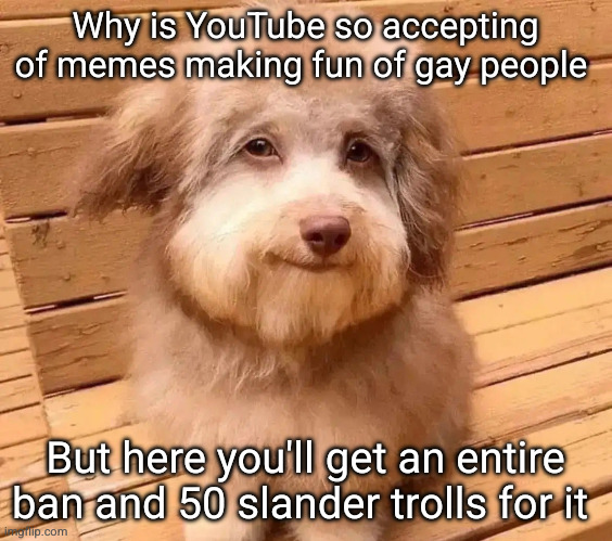 YouTube really do be the goat | Why is YouTube so accepting of memes making fun of gay people; But here you'll get an entire ban and 50 slander trolls for it | image tagged in this dog is fricked up bruh,youtube,so true,sad but true,funny,dog | made w/ Imgflip meme maker