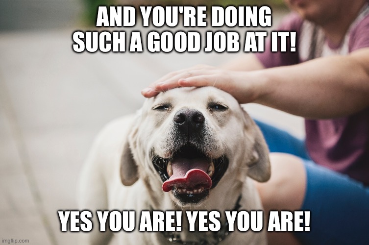 AND YOU'RE DOING SUCH A GOOD JOB AT IT! YES YOU ARE! YES YOU ARE! | made w/ Imgflip meme maker