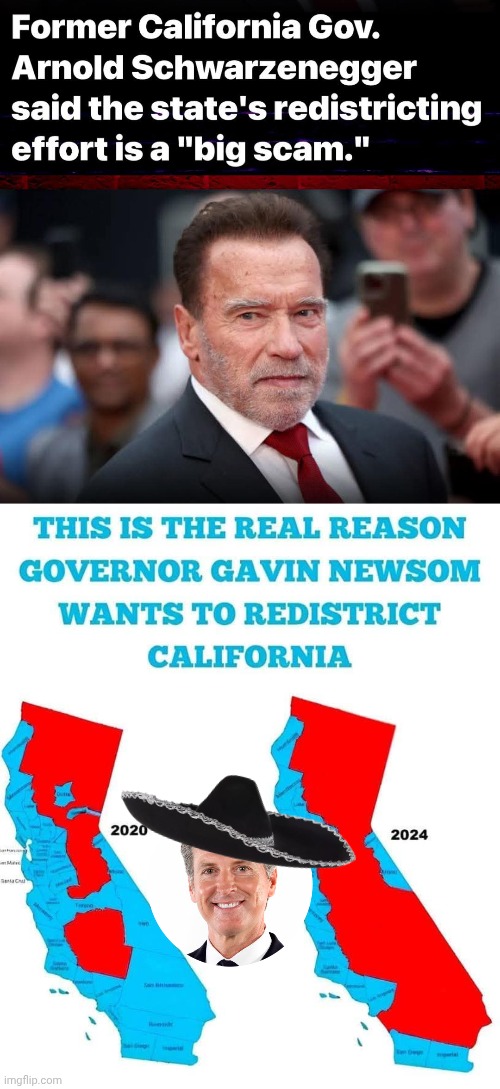 Greasy Gavin's vote scam | image tagged in arnold schwarzenegger,hair,grease,gavin | made w/ Imgflip meme maker