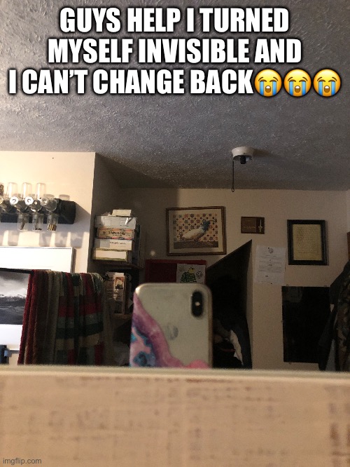 Dw im not naked, my clothes are invisible too | GUYS HELP I TURNED MYSELF INVISIBLE AND I CAN’T CHANGE BACK😭😭😭 | made w/ Imgflip meme maker