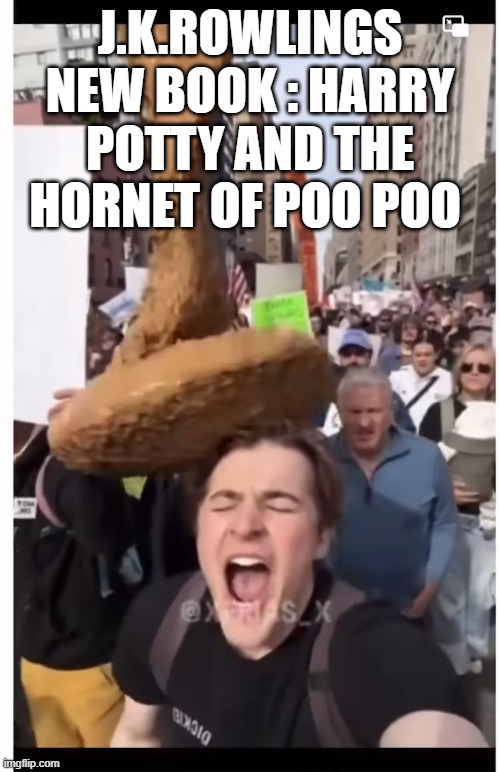 J.K.ROWLINGS NEW BOOK : HARRY POTTY AND THE HORNET OF POO POO | made w/ Imgflip meme maker