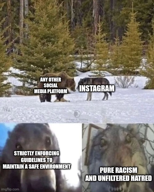 Insert image title here | INSTAGRAM; ANY OTHER SOCIAL MEDIA PLATFORM; STRICTLY ENFORCING GUIDELINES TO MAINTAIN A SAFE ENVIRONMENT; PURE RACISM AND UNFILTERED HATRED | image tagged in bear vs wolf | made w/ Imgflip meme maker