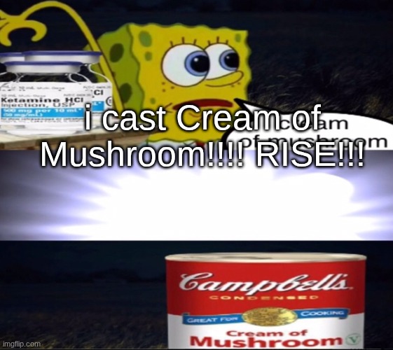 cream of mushroom | i cast Cream of Mushroom!!!! RISE!!! | image tagged in cream of mushroom | made w/ Imgflip meme maker