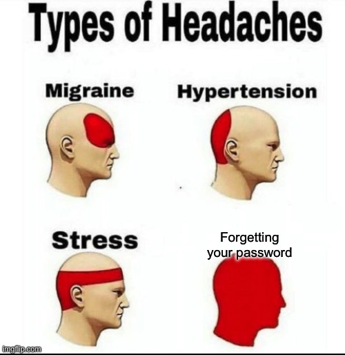 Forgetting your password | Forgetting your password | image tagged in types of headaches meme | made w/ Imgflip meme maker