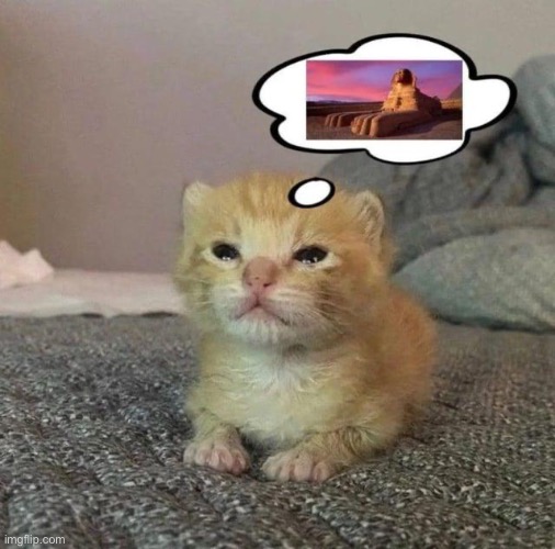 Dreamin | image tagged in california,wunkus,memes,shitpost | made w/ Imgflip meme maker