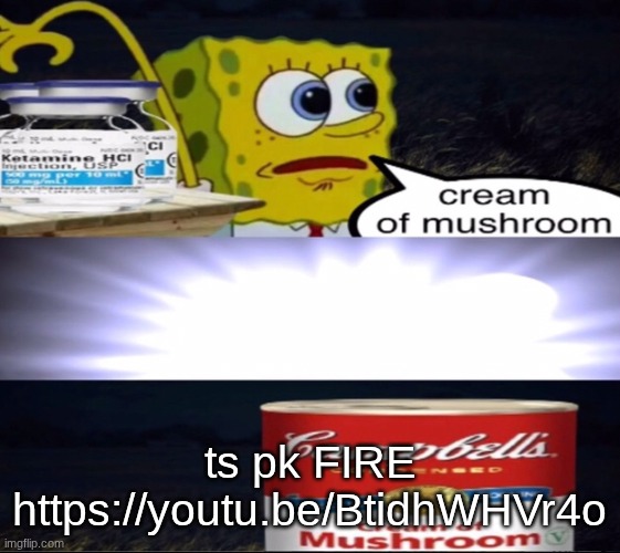 cream of mushroom | ts pk FIRE
https://youtu.be/BtidhWHVr4o | image tagged in cream of mushroom | made w/ Imgflip meme maker