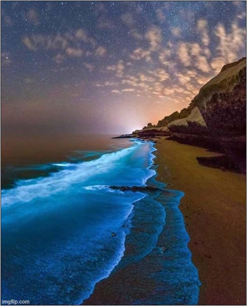 Bioluminescent Plankton In The Persian Gulf | image tagged in beach,bioluminescence,plankton | made w/ Imgflip meme maker