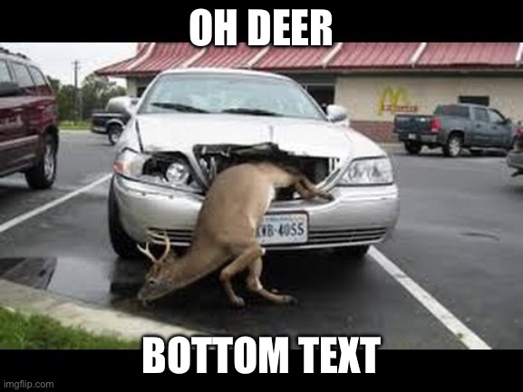 Oh dear! | OH DEER BOTTOM TEXT | image tagged in oh dear | made w/ Imgflip meme maker