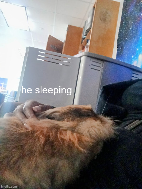 he sleeping | made w/ Imgflip meme maker