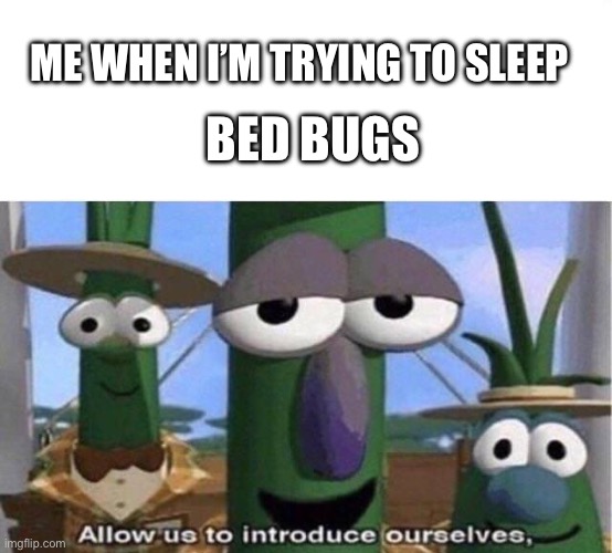 What’s those bumps on my skin??? | BED BUGS; ME WHEN I’M TRYING TO SLEEP | image tagged in veggie tales,bedtime,bugs,allow us to introduce ourselves | made w/ Imgflip meme maker