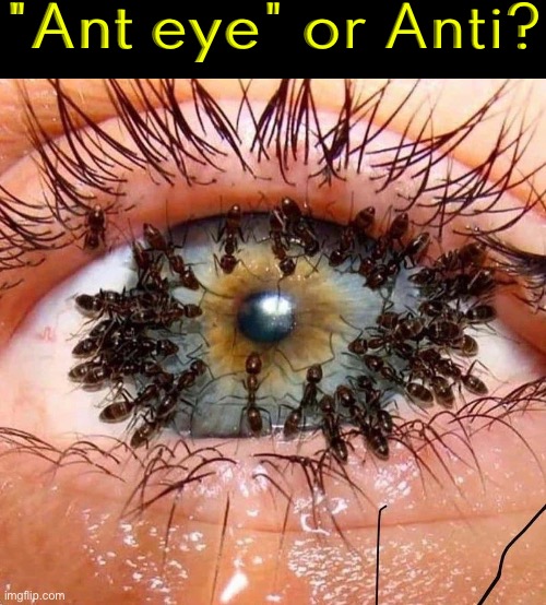 "Ant Eye" | "Ant eye" or Anti? | image tagged in eye,anti,ants,cursed images,ouch,creepy | made w/ Imgflip meme maker