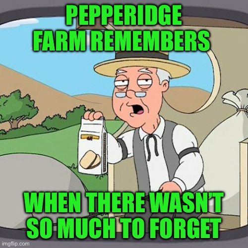 Pepperidge Farm Remembers | PEPPERIDGE FARM REMEMBERS; WHEN THERE WASN’T SO MUCH TO FORGET | image tagged in memes,pepperidge farm remembers | made w/ Imgflip meme maker