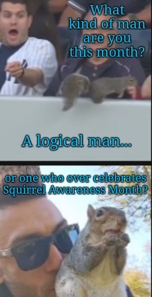Where is the logic? | or one who over celebrates Squirrel Awareness Month? | image tagged in good lord,what the | made w/ Imgflip meme maker
