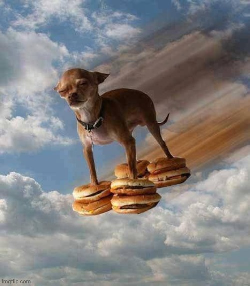 Chez burger | made w/ Imgflip meme maker