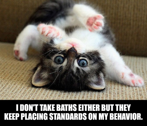 Cute kitten | I DON'T TAKE BATHS EITHER BUT THEY KEEP PLACING STANDARDS ON MY BEHAVIOR. | image tagged in cute kitten | made w/ Imgflip meme maker