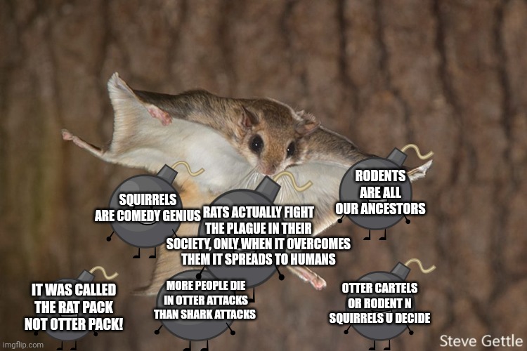 SQWAR day 194: the truth bombs | RODENTS ARE ALL OUR ANCESTORS; RATS ACTUALLY FIGHT THE PLAGUE IN THEIR SOCIETY, ONLY WHEN IT OVERCOMES THEM IT SPREADS TO HUMANS; SQUIRRELS ARE COMEDY GENIUS; MORE PEOPLE DIE IN OTTER ATTACKS THAN SHARK ATTACKS; OTTER CARTELS OR RODENT N SQUIRRELS U DECIDE; IT WAS CALLED THE RAT PACK NOT OTTER PACK! | image tagged in flying squirrel,sqrafe attack,combat the propaganda | made w/ Imgflip meme maker