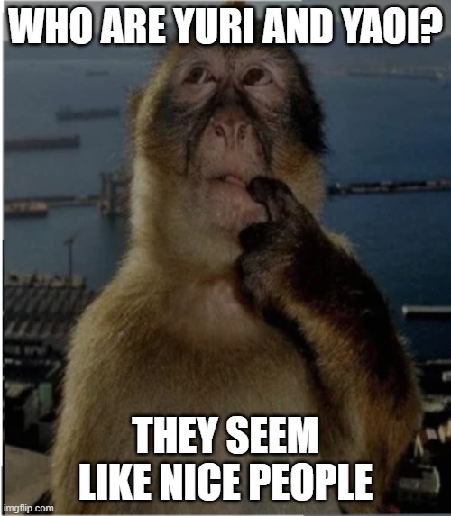 are they siblings or smth? | WHO ARE YURI AND YAOI? THEY SEEM LIKE NICE PEOPLE | image tagged in thinking monkey | made w/ Imgflip meme maker