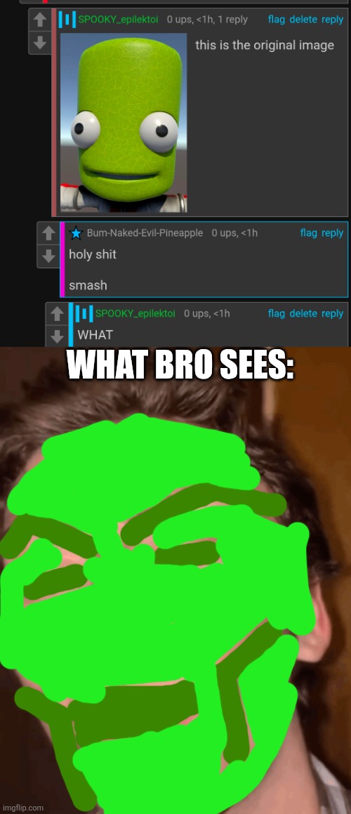 WHAT BRO SEES: | image tagged in mewing guy | made w/ Imgflip meme maker