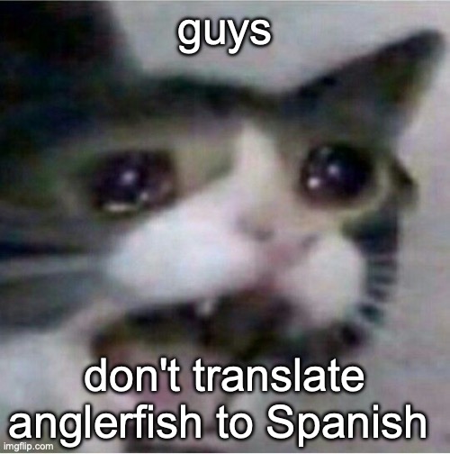 crying cat | guys; don't translate anglerfish to Spanish | image tagged in crying cat | made w/ Imgflip meme maker