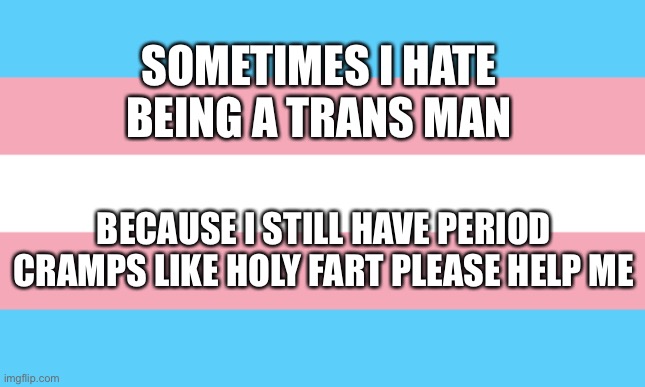 I want to rip out my gut omfg (OnlyO: pls dont bro) | SOMETIMES I HATE BEING A TRANS MAN; BECAUSE I STILL HAVE PERIOD CRAMPS LIKE HOLY FART PLEASE HELP ME | image tagged in trans flag | made w/ Imgflip meme maker